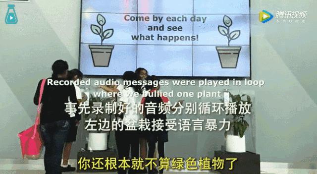 这一回，宜家开始“虐待”植物了！30天3D循环辱骂，活生生把植物给“骂枯”！