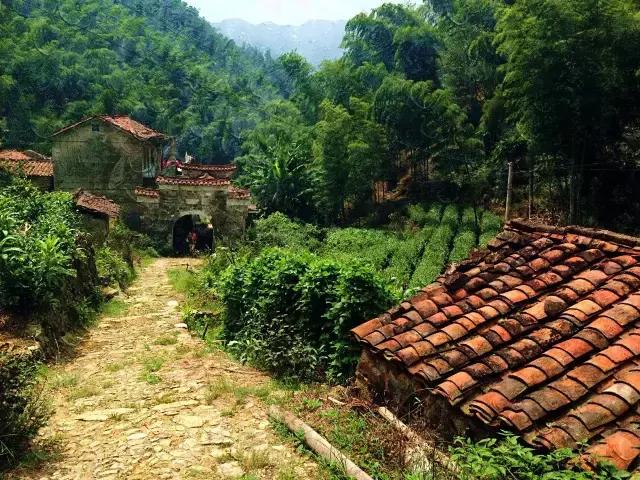 浙江最南端一座低调又迷人的小城,浙江最美隐世小城