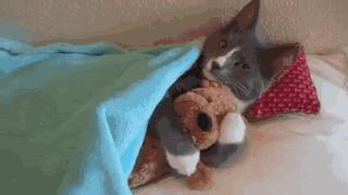 买它花了我一个月工资，可居然穿了一天就坏了？！