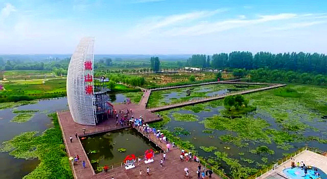 滕州微山湖红荷湿地开幕式直播,枣庄滕州微山湖湿地红荷节