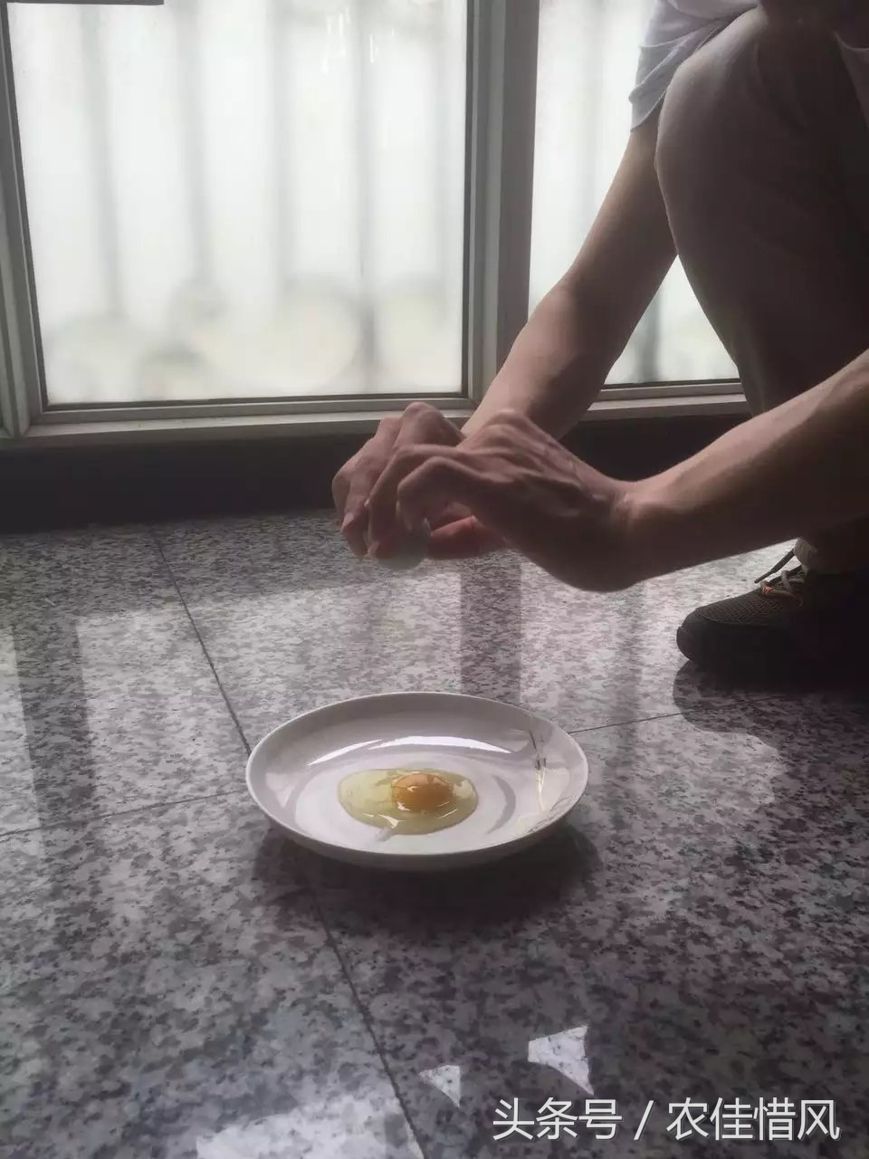 农村小伙子养鸡年收入240万你信吗,90后女大学生养鸡年销售3000万