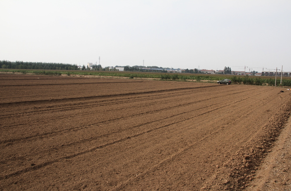 农业补贴有新政策吗,农业直接补贴政策有哪些