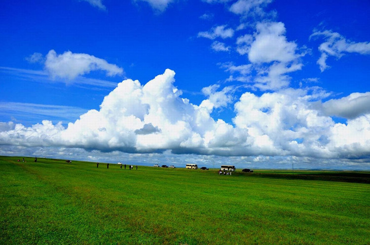 世界四大草原哪里好玩,世界四大草原呼伦贝尔大草原