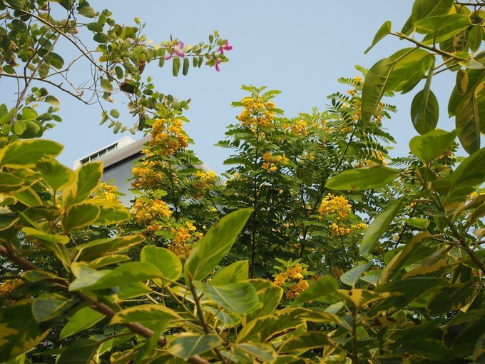 闺蜜三亚游详细攻略,七夕去哪里玩比较浪漫三亚