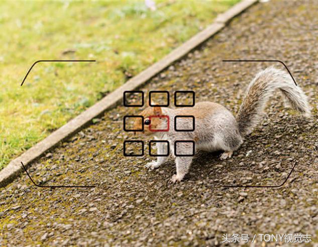 对焦的讲解,4分钟学会30种对焦策略