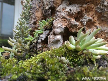 茶道美学文化,茶道美学合集