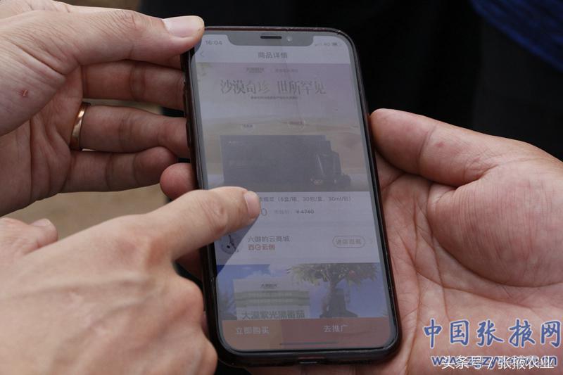 百e国际香港,百e国际平台