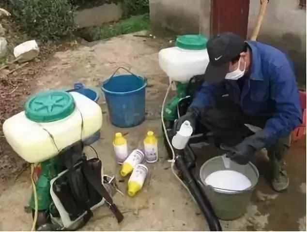 多效唑加芸苔素可以用吗,赤霉素加芸苔素怎么使用