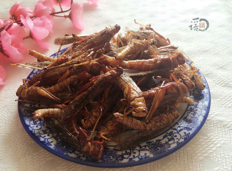 农村地里的蚂蚱,野生的蚂蚱哪种可以吃