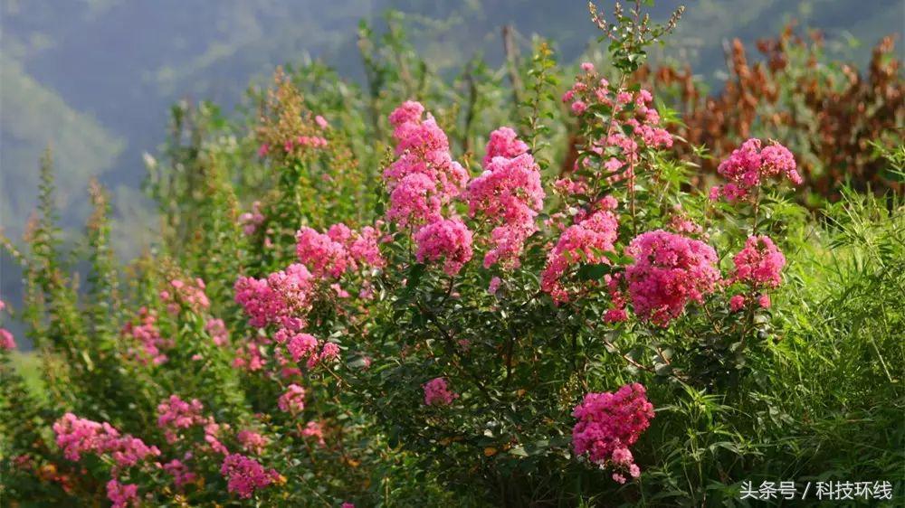 刘铭‖家乡有座山叫下角砠