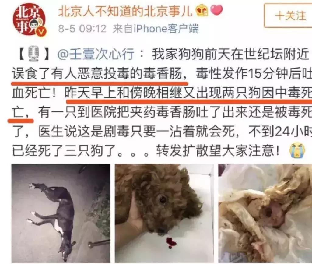 异烟肼会被判刑吗,异烟肼到底违法吗