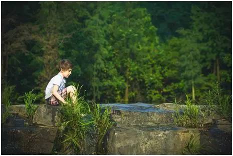 广州值得去的湿地公园,广州湿地公园拍摄
