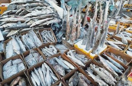 看日出、逗黑熊……从抚远出发穿越“两极”