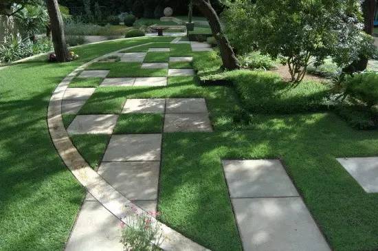 草坪该如何养护管理,楼顶花园草坪选择哪种比较好