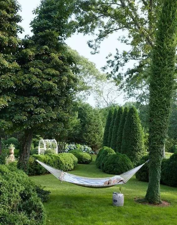 草坪该如何养护管理,楼顶花园草坪选择哪种比较好