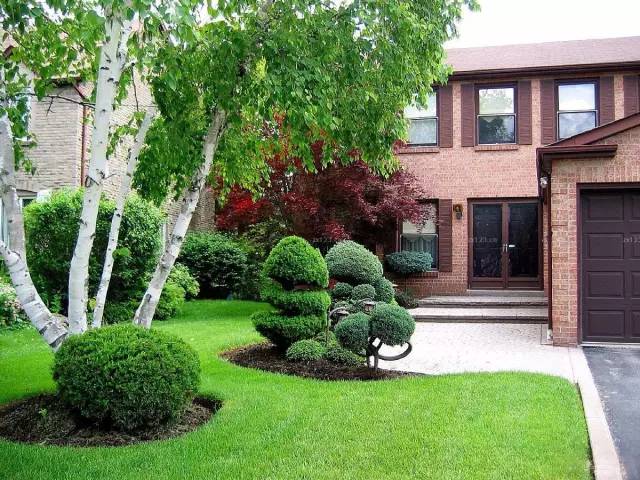 草坪该如何养护管理,楼顶花园草坪选择哪种比较好