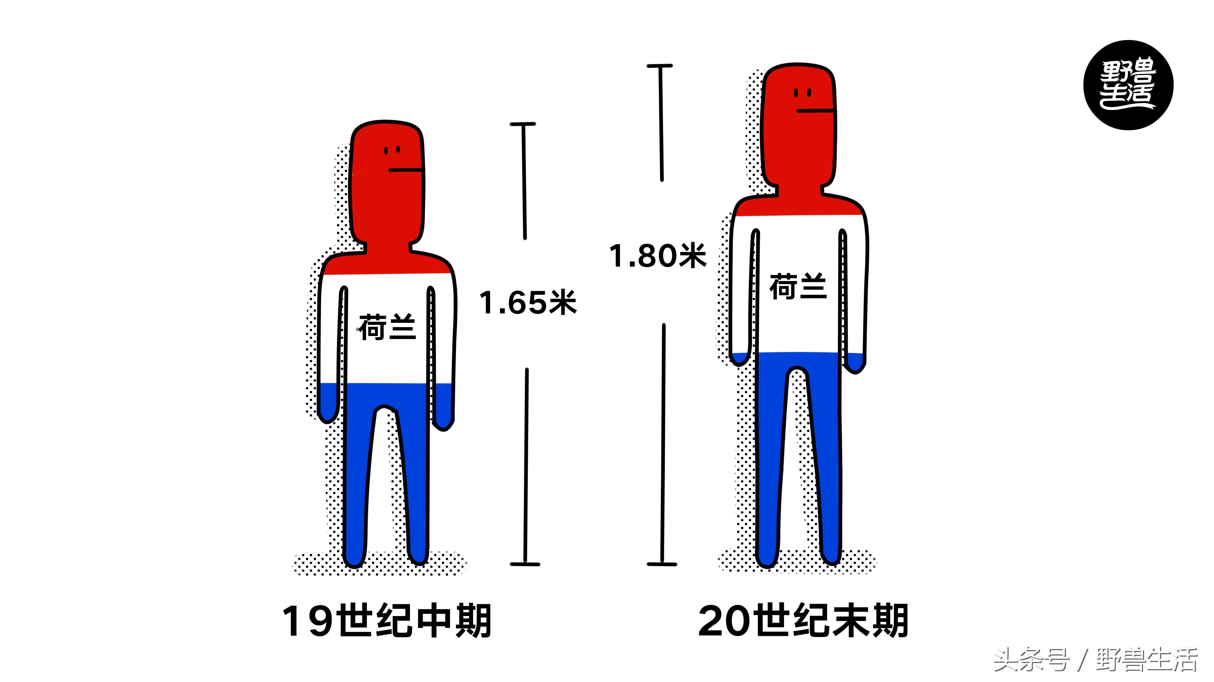 大脑退化不一定会脑萎缩,大脑贫血会有什么状况