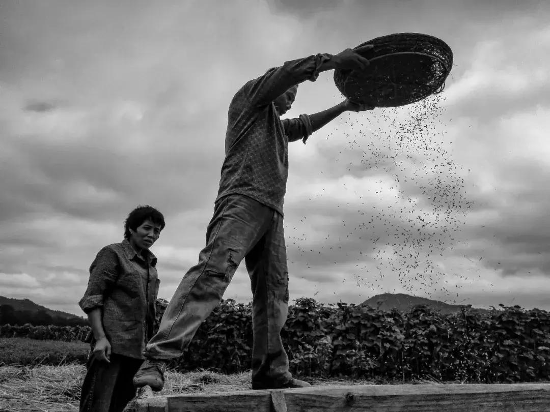 手机摄影大赛十佳作品,第九届世界手机摄影大赛获奖名单