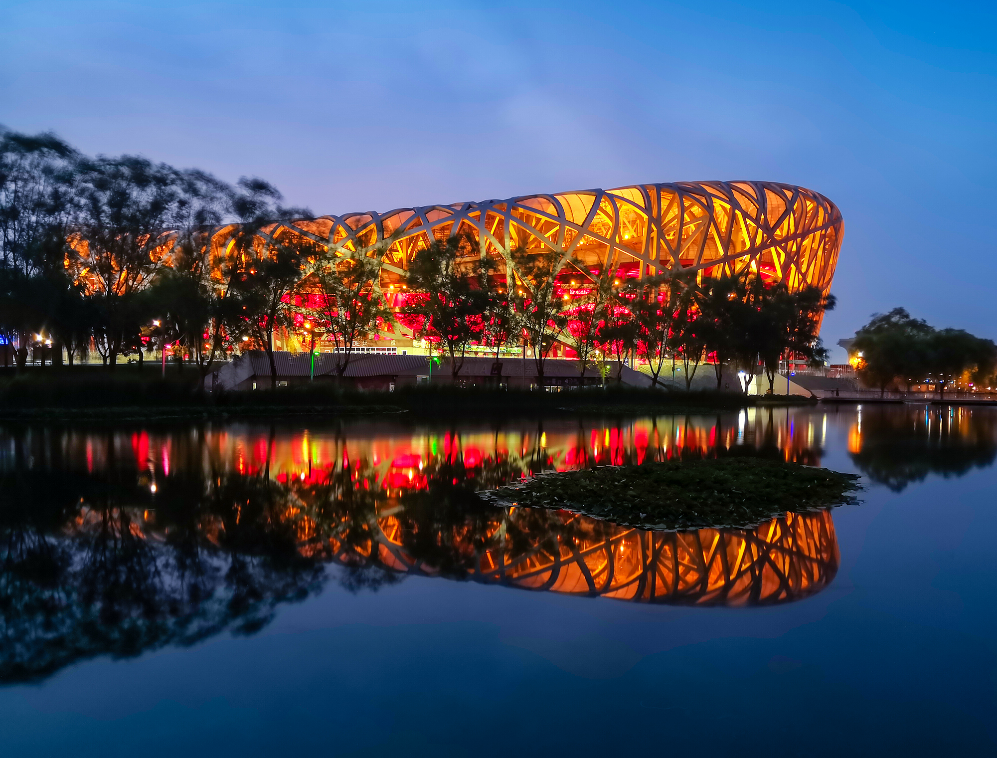 单反相机和手机摄影有什么区别,摄影初学者适合买什么单反相机