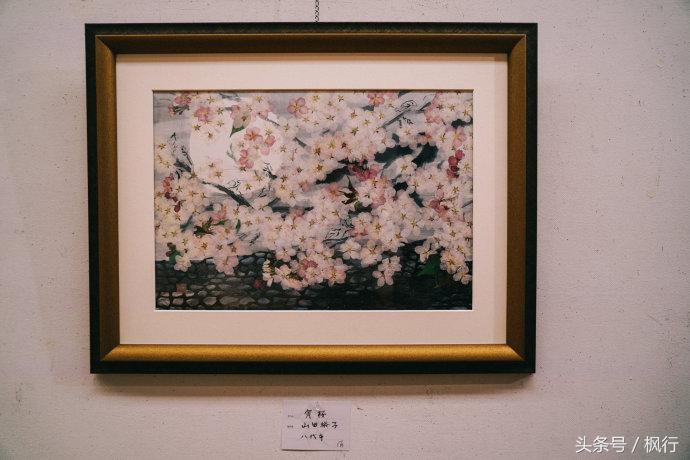 熊本一日游你有哪些攻略,熊本县一日游超全攻略