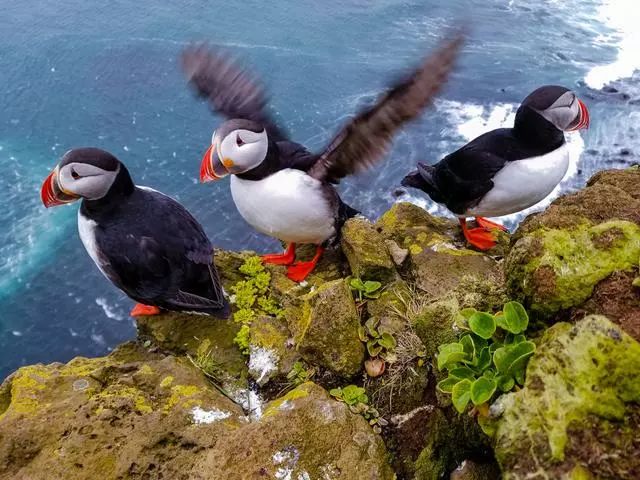 单反相机和手机摄影有什么区别,摄影初学者适合买什么单反相机