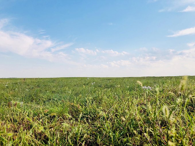 分享I鄂尔多斯少年那达慕，意义非凡的一场研学之旅