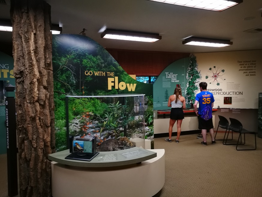 原始森林房车游记,红杉林房车自驾游