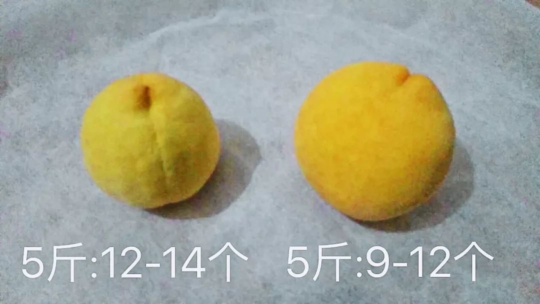 脆甜多汁的黄桃马上进入采摘季,锦绣黄桃罐头