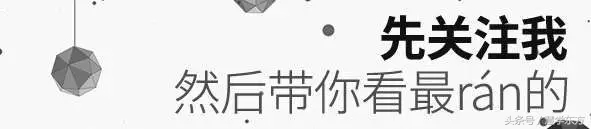 大学宿舍养猪被通报,大学生在宿舍养猪被通报批评