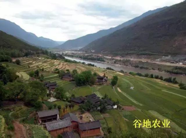 常见农作物种植常识,全国各省种植最广的农作物分布图