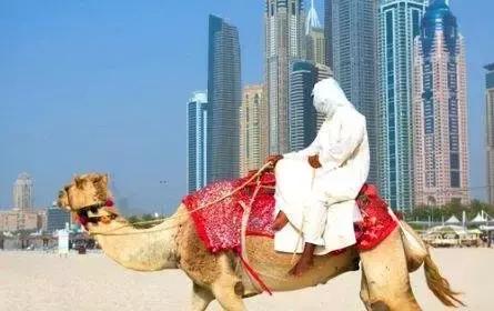 买表去香港还是迪拜,迪拜买表代购