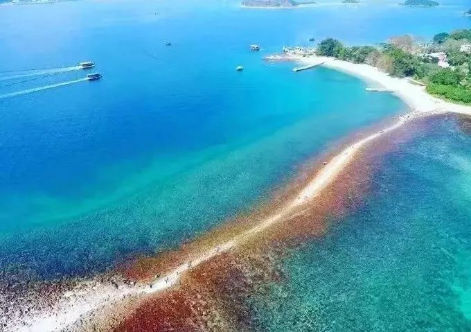 香港旅游攻略必玩的景点优秀4篇,香港必打卡景区