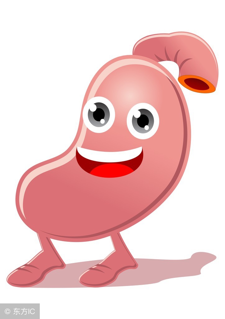 益生菌与微生物的关系,益生菌与其他营养元素的关系