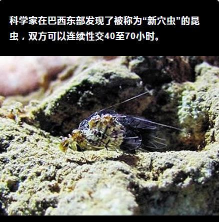 胸小有遗传因素吗可以改善吗,妈妈胸小会遗传给女儿吗