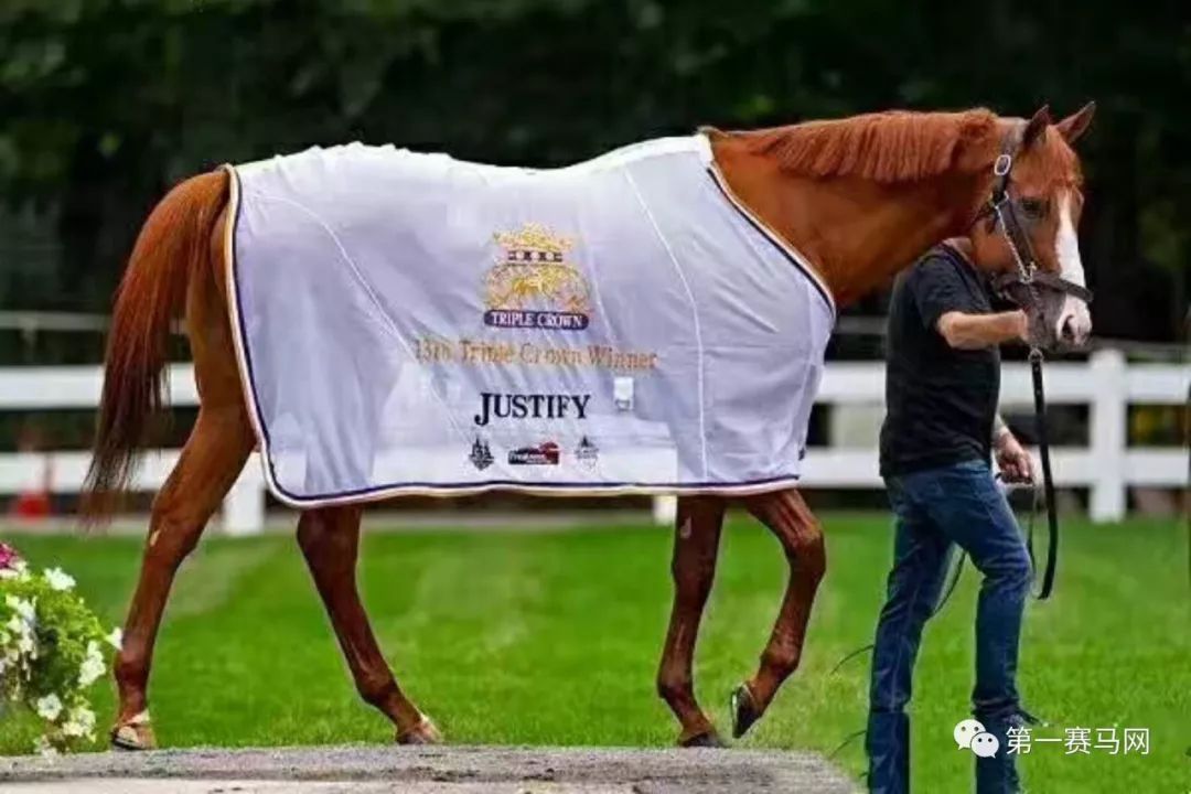 七夕到了单身狗报告,七夕快到了依然是单身狗