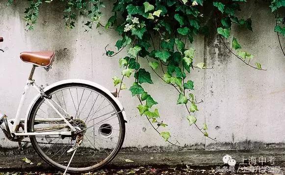 上海中考体育评分标准,西藏中考体育评分标准