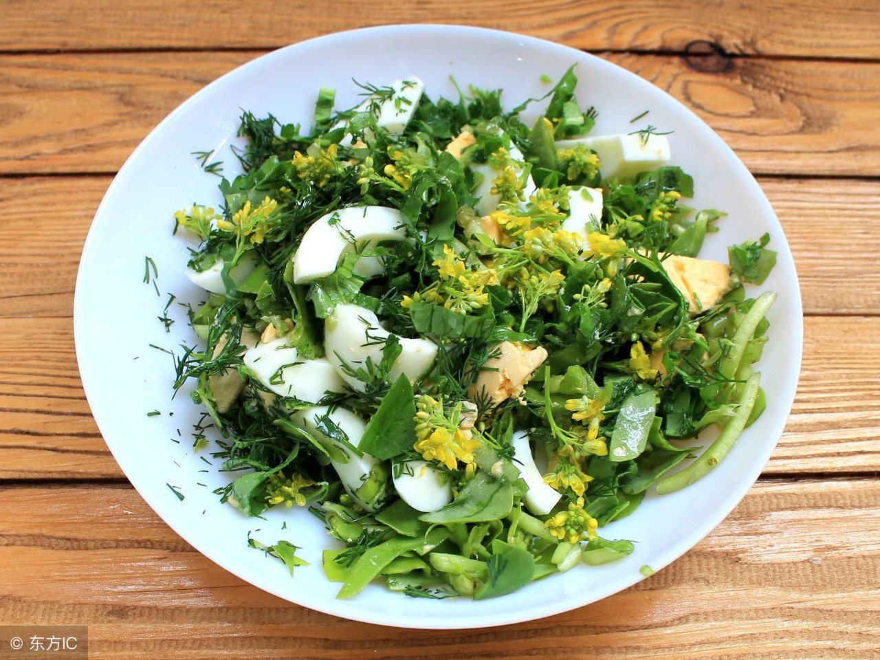 中药马齿苋功效,马齿苋为什么叫天然抗生素