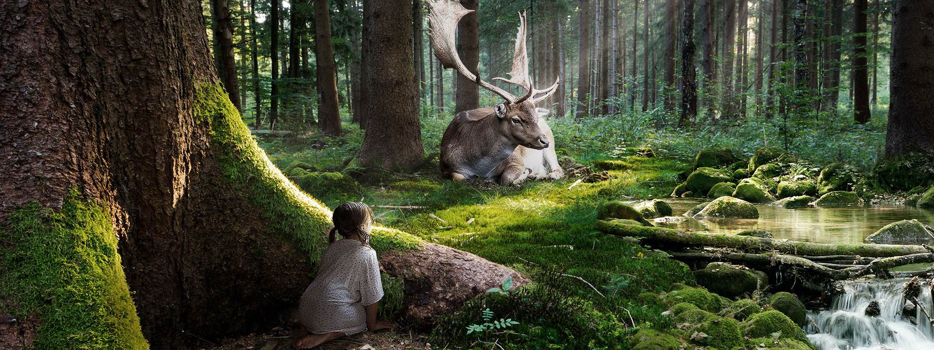 拒绝权臣求爱的她遭到出卖，为了祖国不得不忍辱求生2