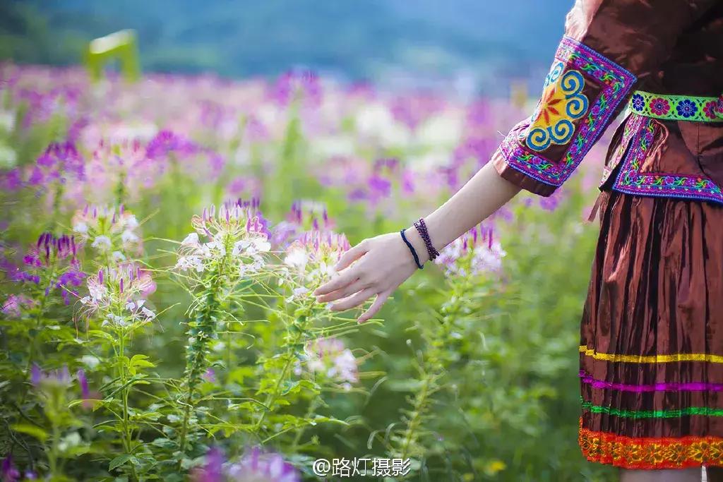 七夕将至，黄姚花海正值赏花期，相约一场简单爱！