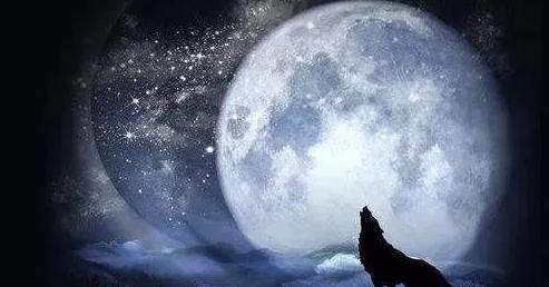 网络营销推广实用方法有,网络营销推广什么方法最有效