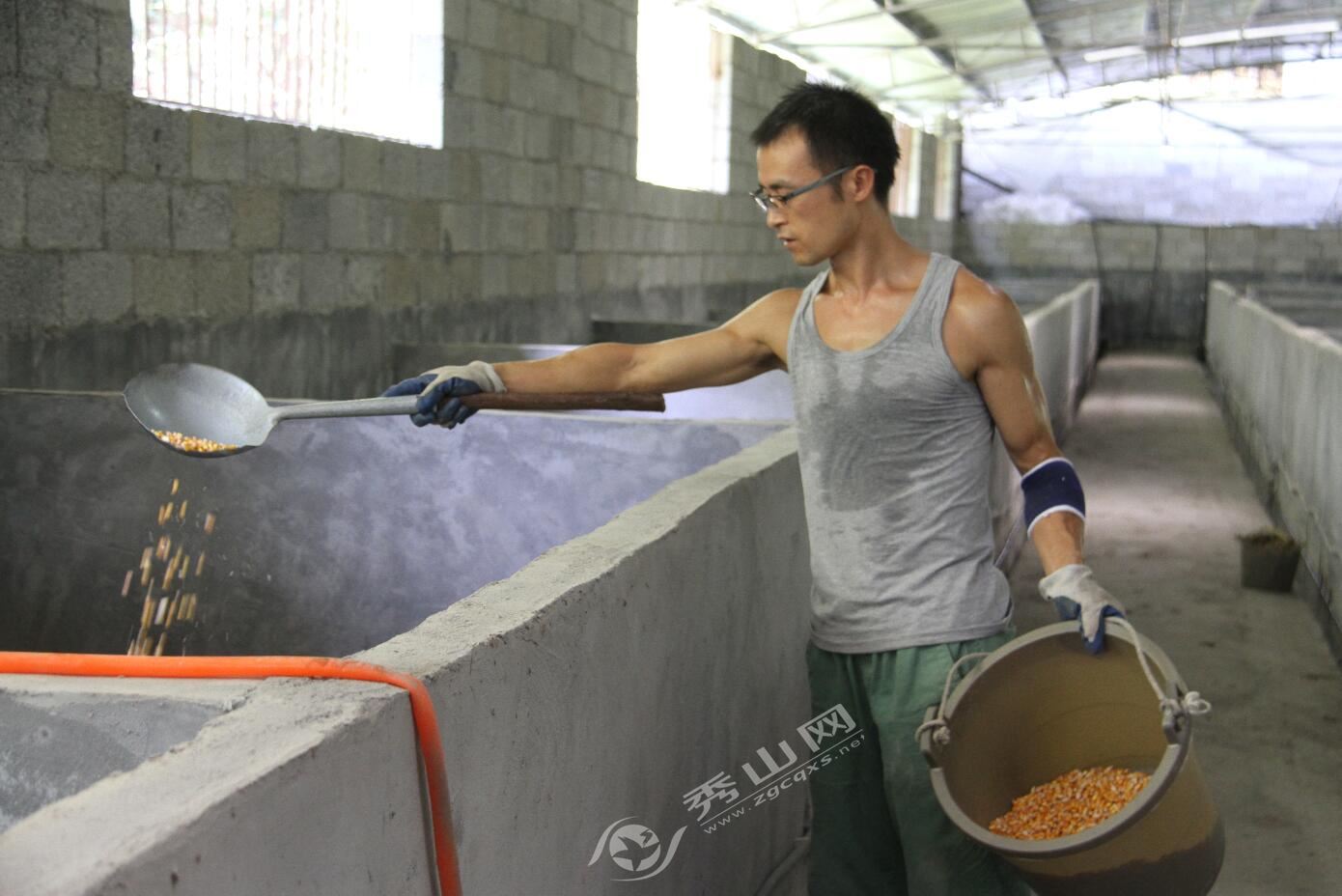 念好特色产业经奏响乡村富民曲,返乡创业致富养豪猪