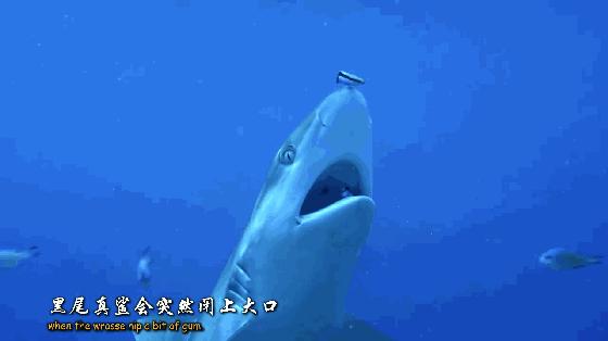 如果没有这部9.6，血腥猎奇的电影还要骗我们多久？