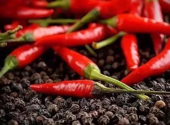 平时所说的发物有哪几种,医生常说的发物有哪些