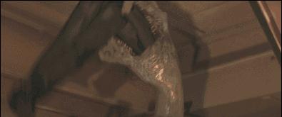 海底潜水旅行注意什么,海底潜水旅行注意事项