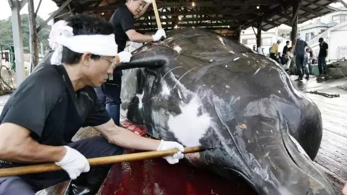 海底潜水旅行注意什么,海底潜水旅行注意事项