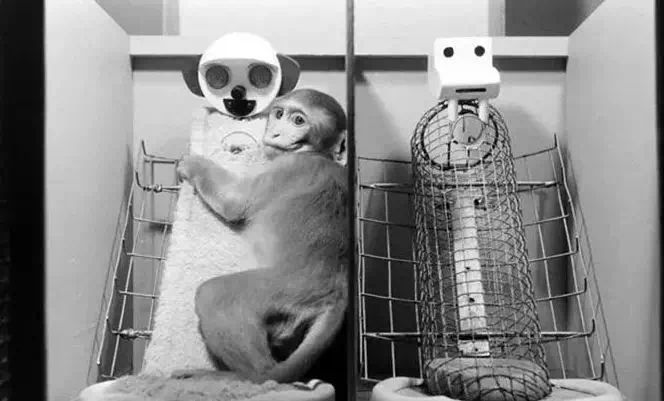 四岁小孩不走路要求妈妈抱的危害,小孩子会走路了为什么老是要抱