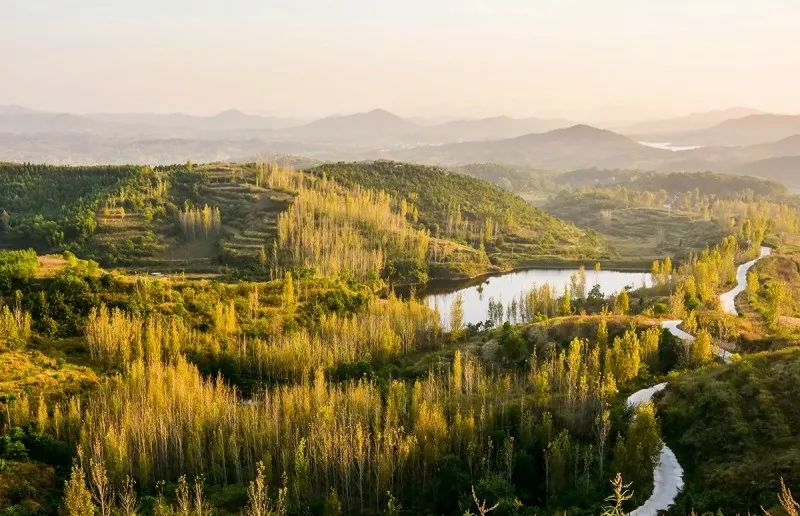 十大贫困县红安县,红安县为啥是贫困县