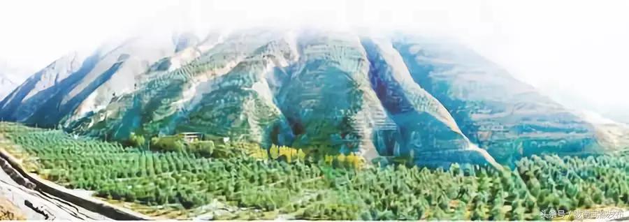 神奇的黄金液,神奇的液体有什么