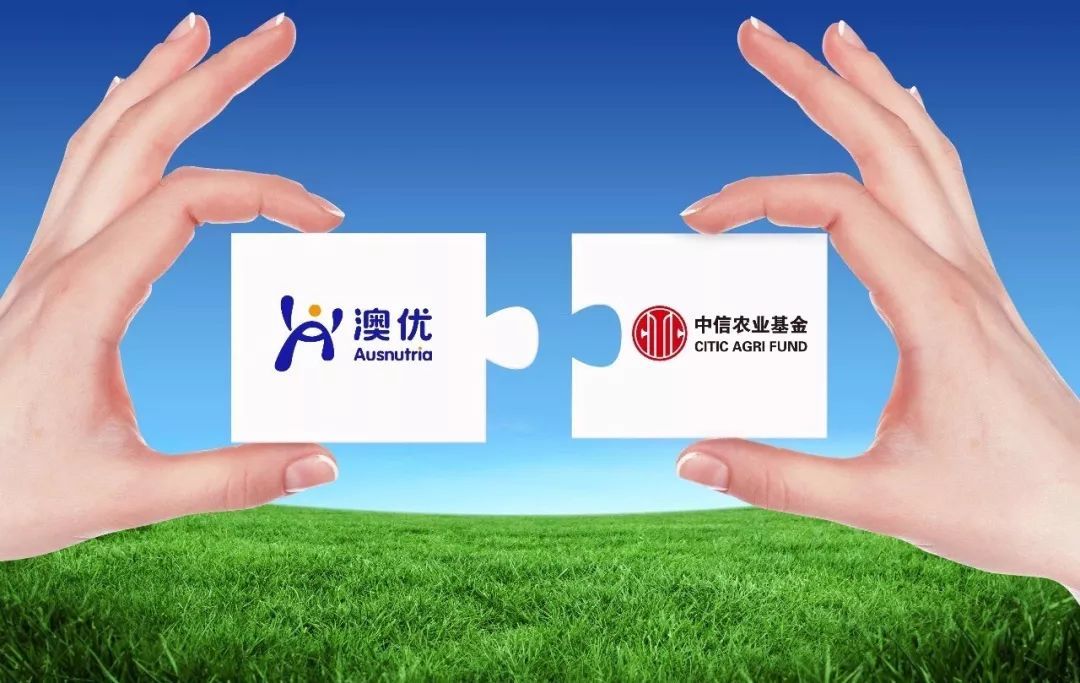 “中信系”资本出手，能否解局澳优这套子里的人