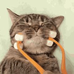 广州东到广州南延线有什么吃的,西朗地铁站附近美食